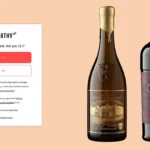 Splash Page: What is it? See a Splash Page Example